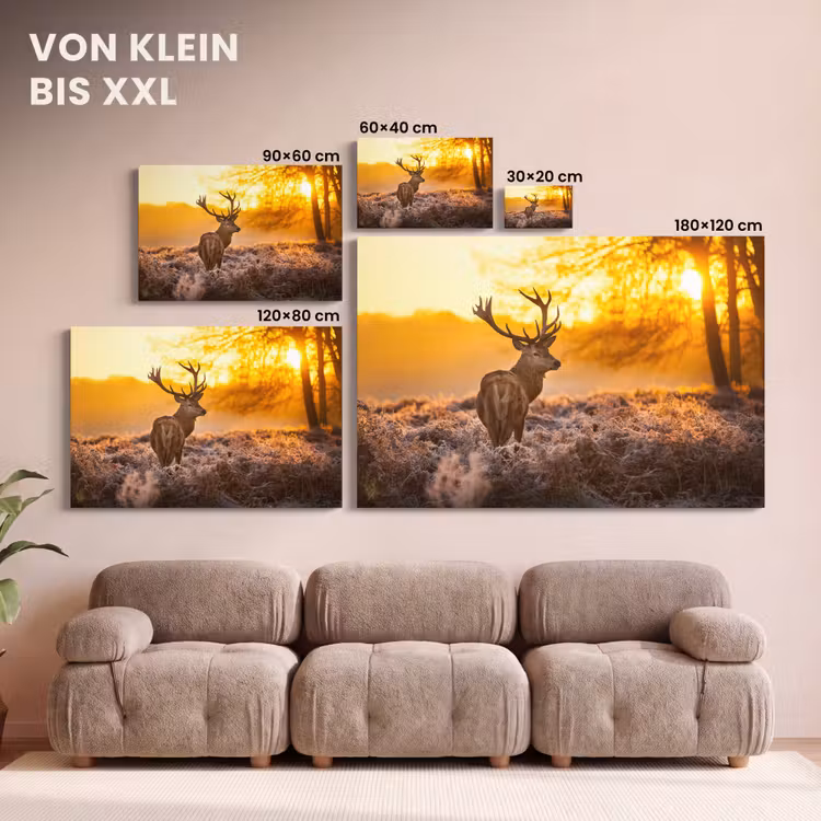 Hert - Dieren - Zonsondergang - Winter - Heide - Natuur canvas 2cm klein -Xsfeer8_DE