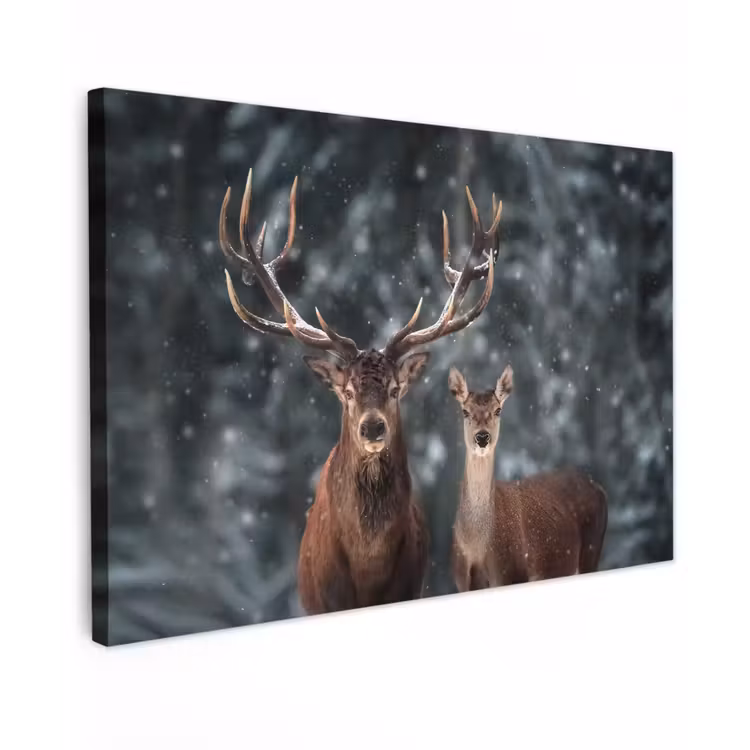 Hert - Dieren - Winter - Gewei - Sneeuw - Natuur canvas 2cm klein -z3d