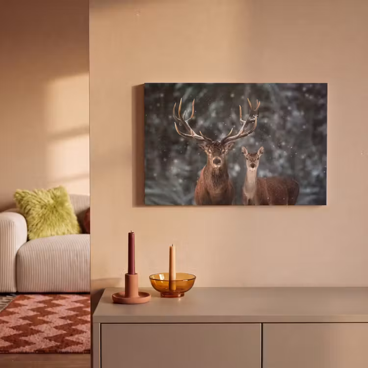 Hert - Dieren - Winter - Gewei - Sneeuw - Natuur canvas 2cm klein -sfeer1
