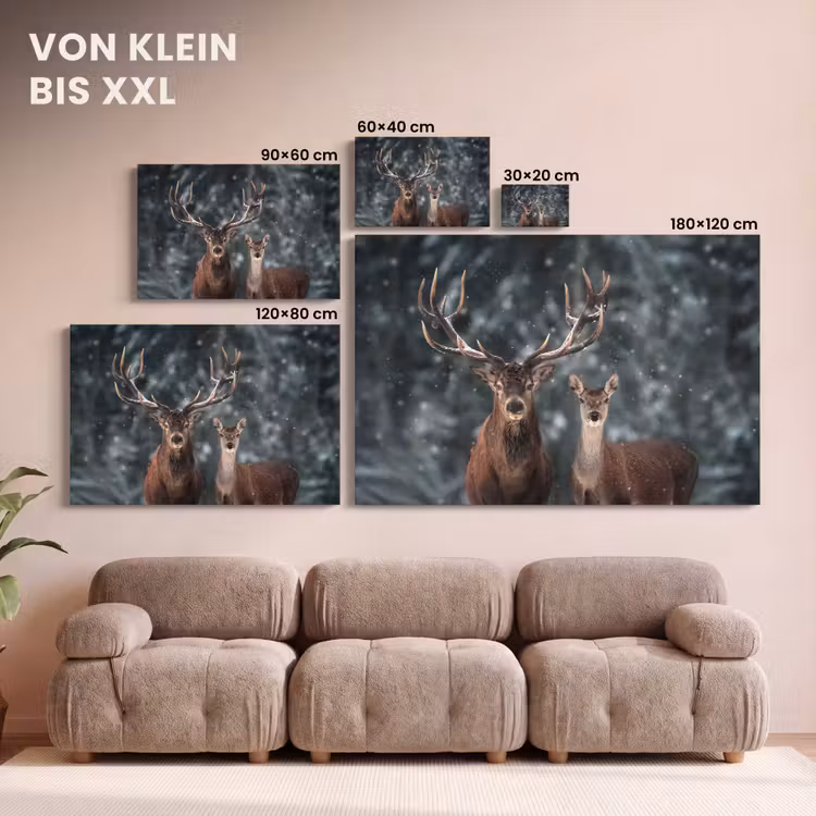 Hert - Dieren - Winter - Gewei - Sneeuw - Natuur canvas 2cm klein -Xsfeer8_DE