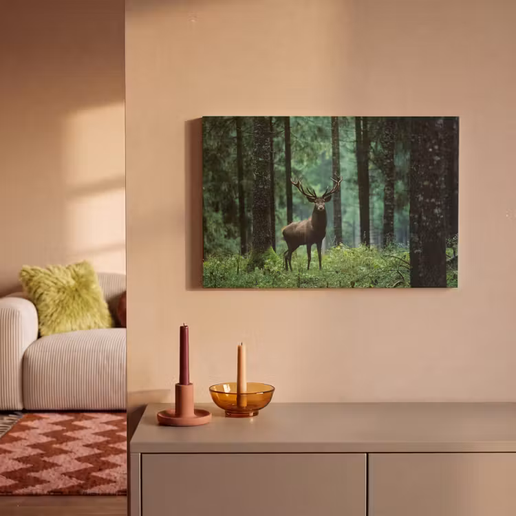 Hert - Bos - Bomen - Dieren - Natuur canvas 2cm klein -sfeer1