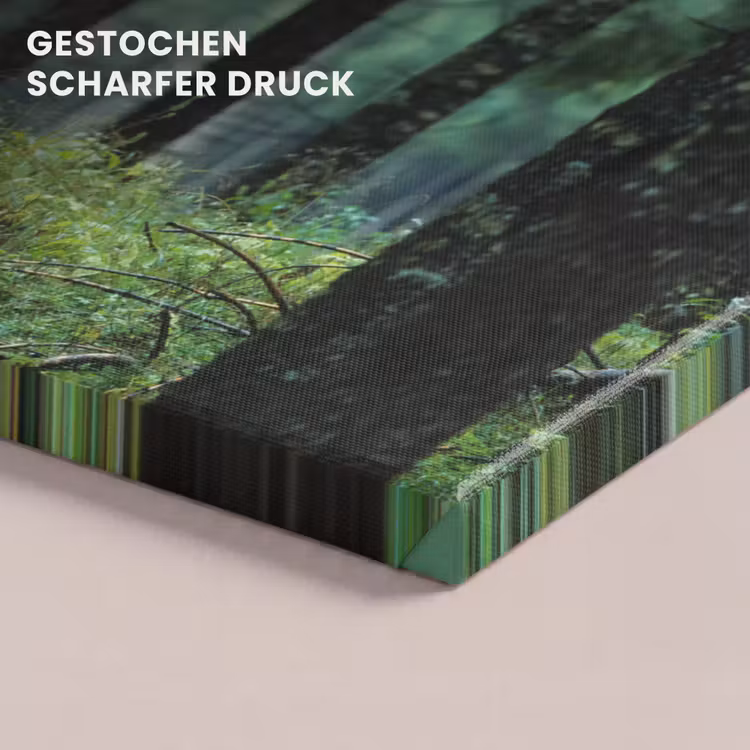 Hert - Bos - Bomen - Dieren - Natuur canvas 2cm klein -uniquesellingpoint_afwerking-onlywow_DE