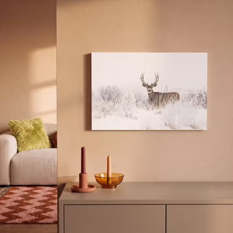 Hert - Winter - Sneeuw - Dieren - Seizoenen - Wit canvas 2cm klein -sfeer1
