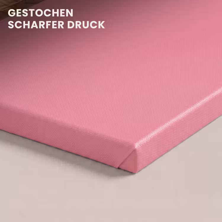 Hoorntje - Schepijs - Roze canvas 2cm klein -uniquesellingpoint_afwerking-onlywow_DE