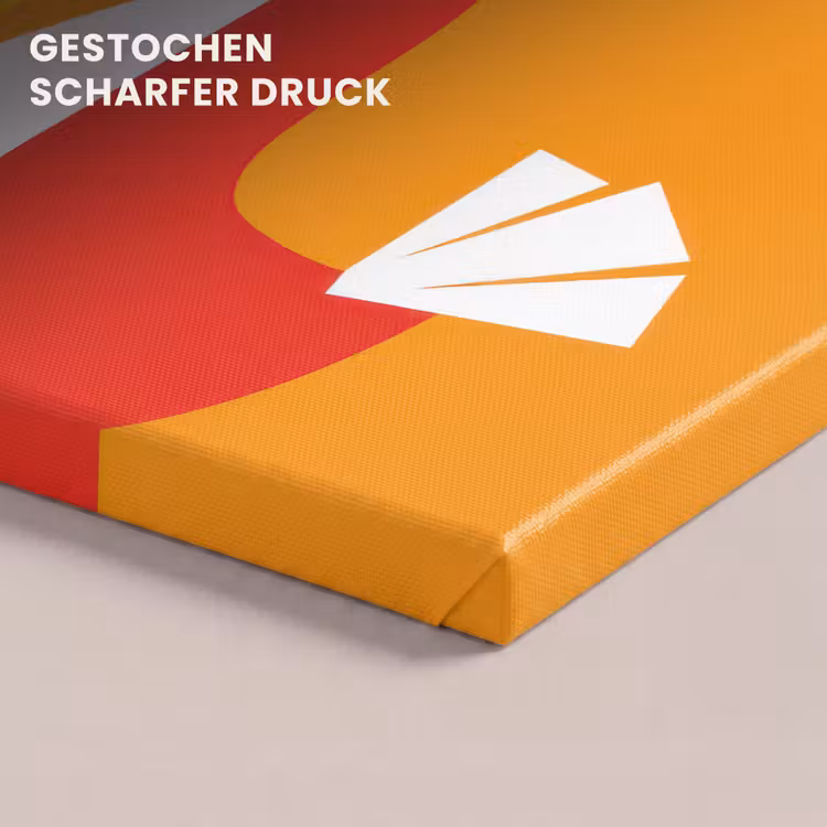 Kippen - Oranje - Vlakken canvas 2cm klein -closeup_print_DE