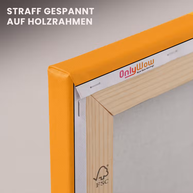 Kippen - Oranje - Vlakken canvas 2cm klein -uniquesellingpoint_afwerking-onlywow_DE