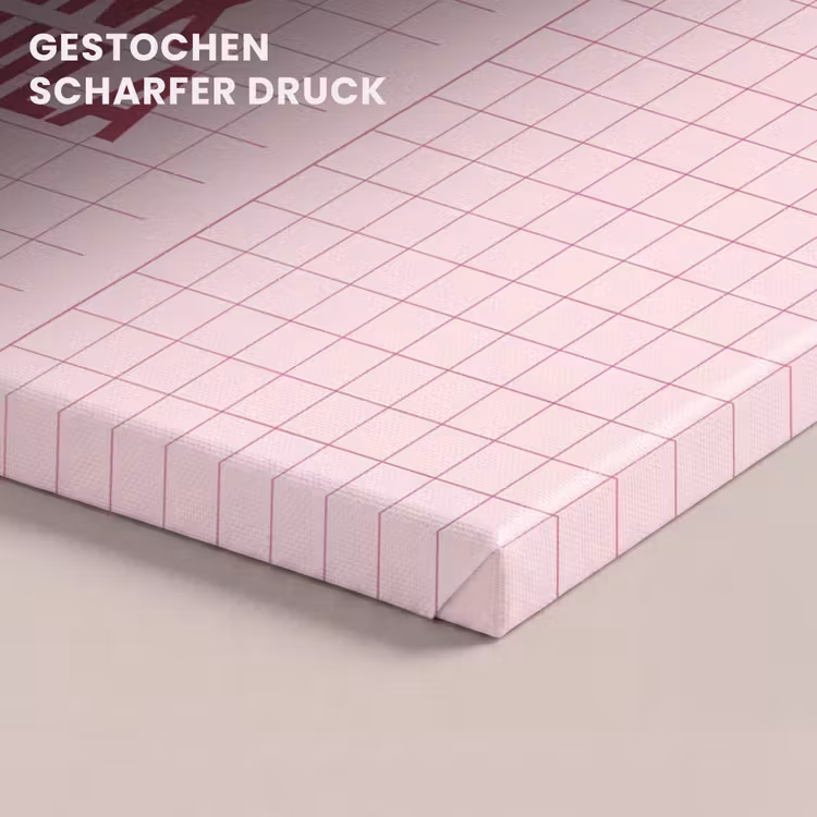 Humor - Drank - Tekst - Roze canvas 2cm klein -closeup_print_DE