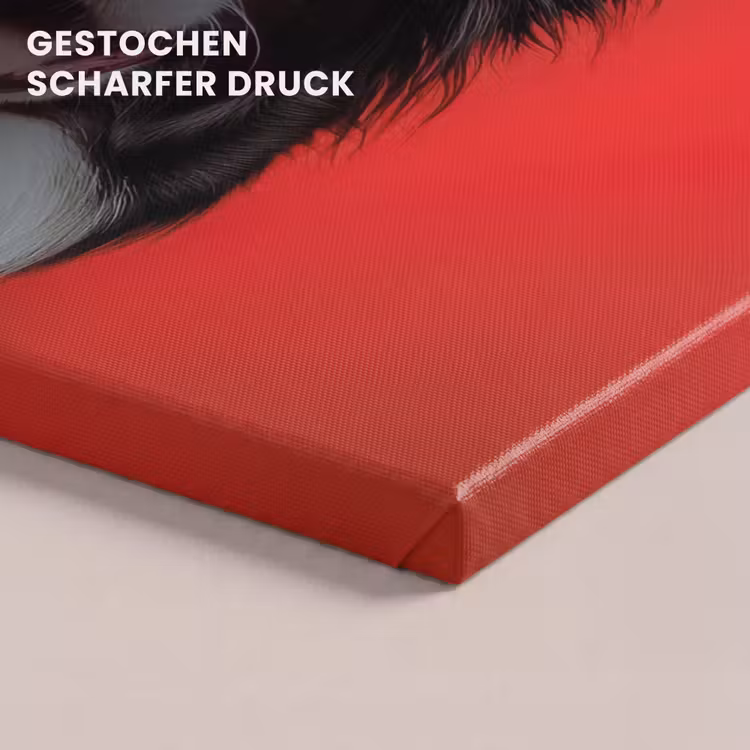 Hond - Hartjesbril - Loveyou - Rood canvas 2cm klein -closeup_print_DE