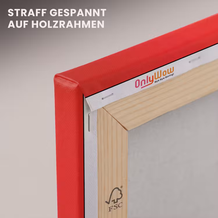 Hond - Hartjesbril - Loveyou - Rood canvas 2cm klein -uniquesellingpoint_afwerking-onlywow_DE