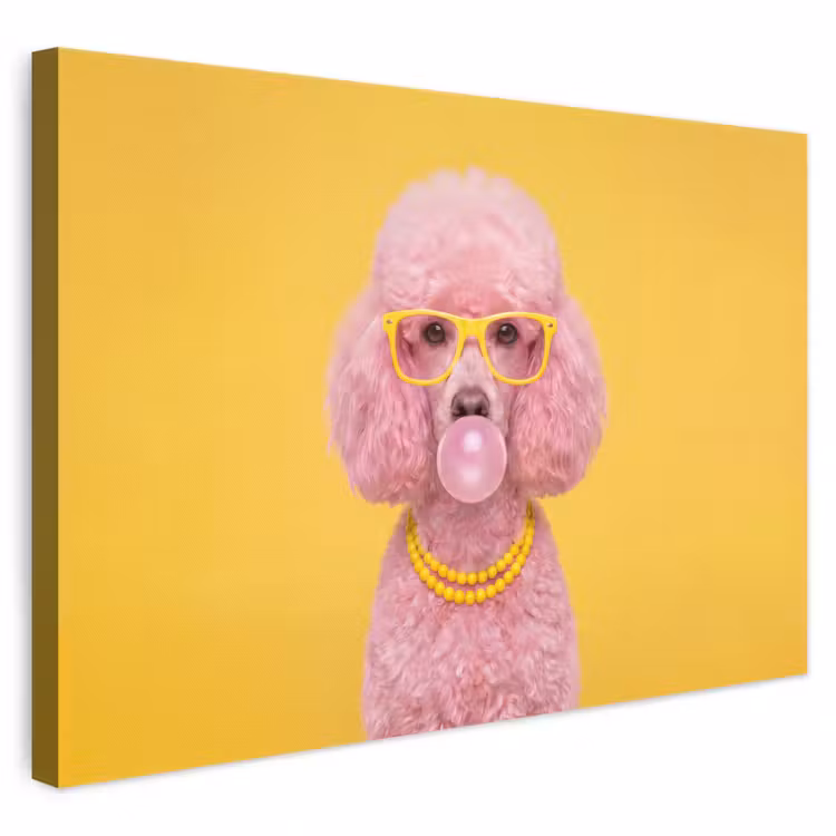 Hond - Kauwgum - Dieren - Modern - Roze canvas 2cm klein -3d