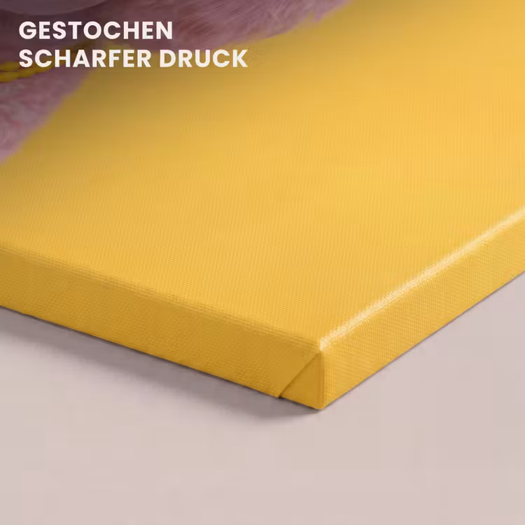 Hond - Kauwgum - Dieren - Modern - Roze canvas 2cm klein -closeup_print_DE