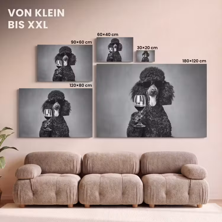 Hond - Krullen - Zonnebril - Wijn canvas 2cm klein -Xsfeer8_DE