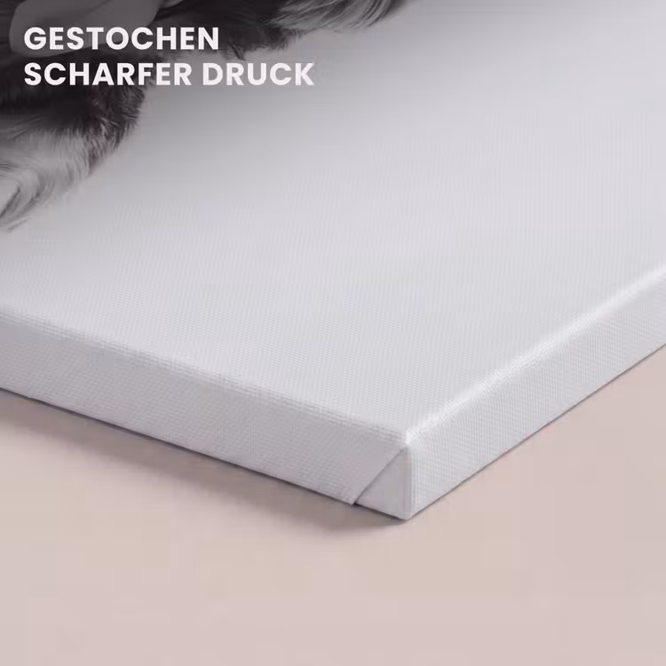 Hondje - Wijnglas - Zonnebril - Enthousiast canvas 2cm klein -closeup_print_DE