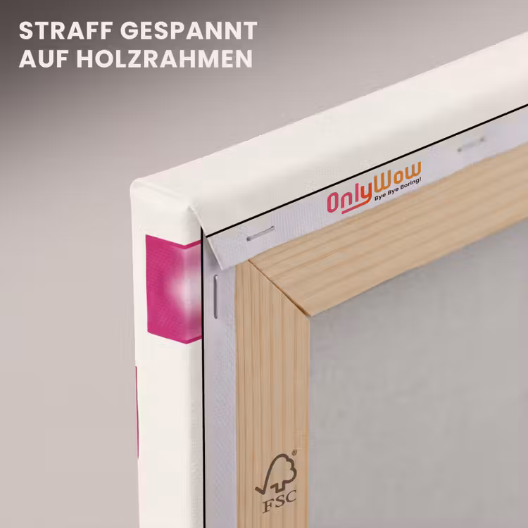 Illustratie - Collectie - Kunst - Minimalistisch - Roze canvas 2cm klein -uniquesellingpoint_afwerking-onlywow_DE