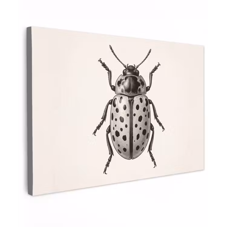 Kever - Insect - Vintage canvas 2cm klein -z3d