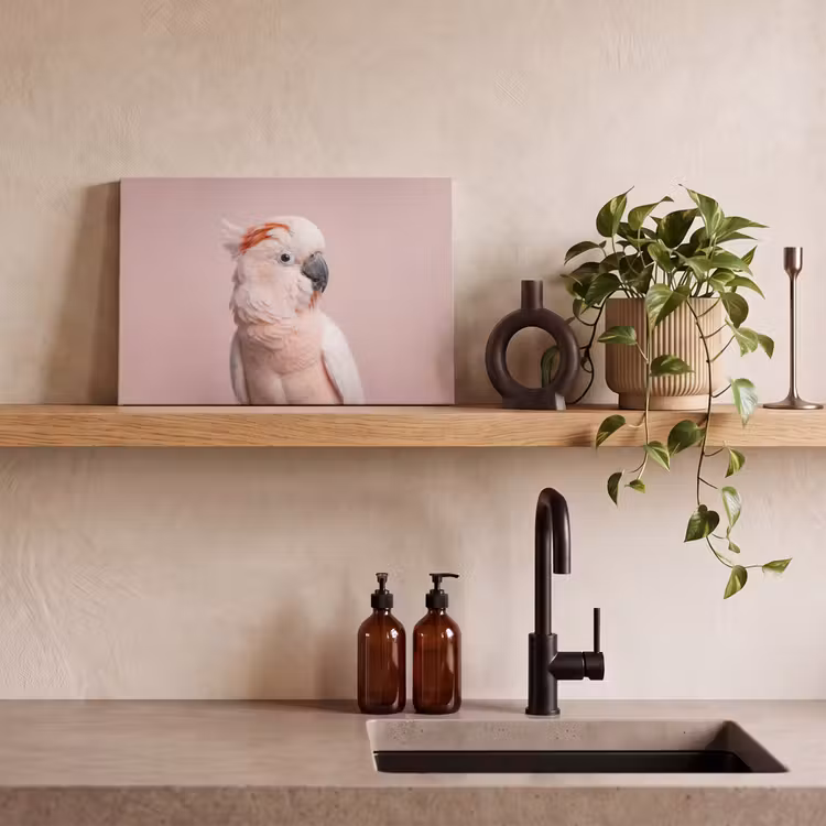 Kaketoe - Portret - Roze canvas 2cm klein -closeup_print_DE