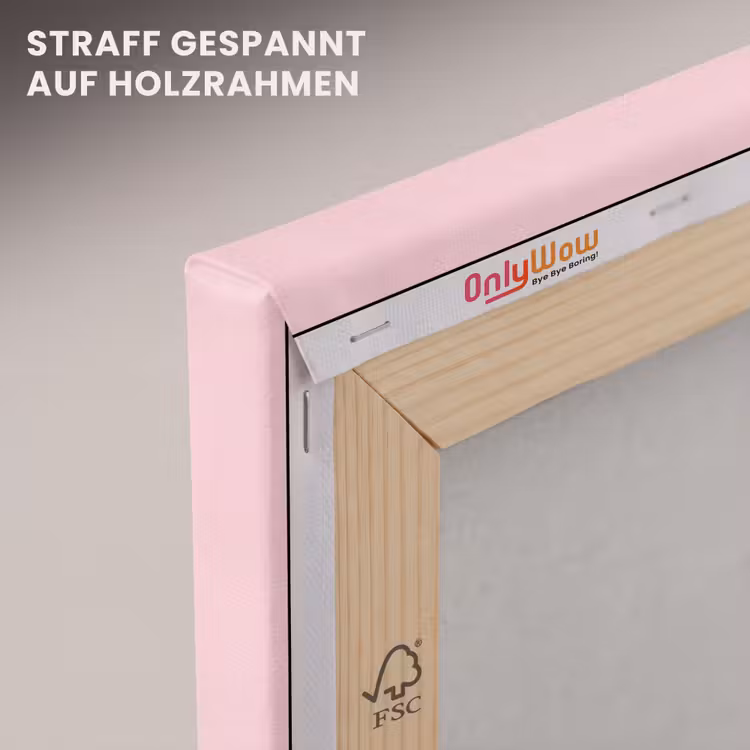 Cactussen - Modern - Pastel canvas 2cm klein -uniquesellingpoint_afwerking-onlywow_DE
