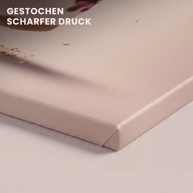 Cheesecake - Eten - Roze - Taart canvas 2cm klein -closeup_print_DE