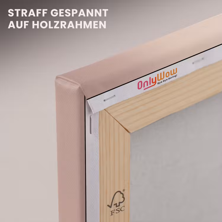 Cheesecake - Eten - Roze - Taart canvas 2cm klein -uniquesellingpoint_afwerking-onlywow_DE