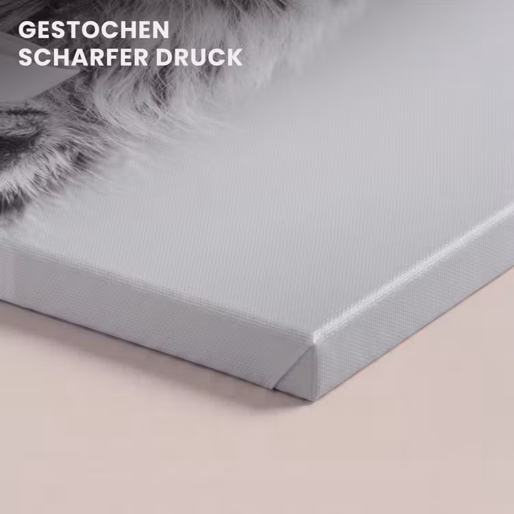 Kat - Bril - Mok - Pluizig canvas 2cm klein -closeup_print_DE