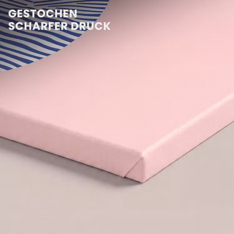 Kat - Illustratie - Minimalistisch - Roze canvas 2cm klein -uniquesellingpoint_afwerking-onlywow_DE