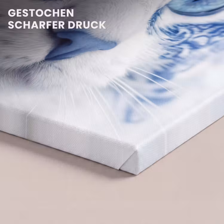 Kat - Patroon - Blauw canvas 2cm klein -closeup_print_DE