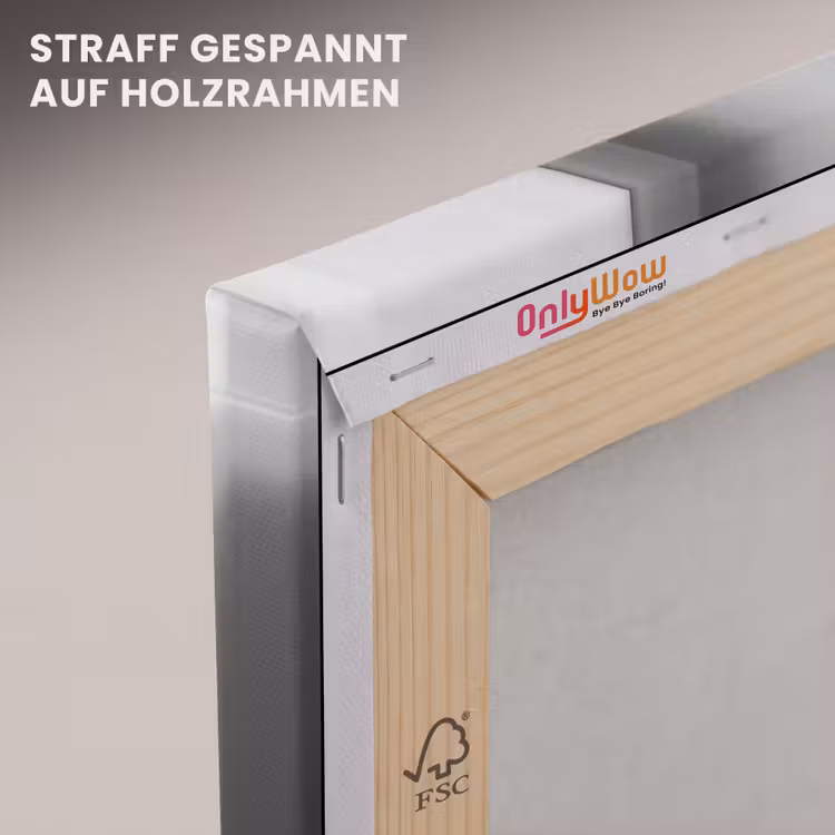 Kat - Telefoon - Toilet - Zwart - Wit canvas 2cm klein -uniquesellingpoint_afwerking-onlywow_DE