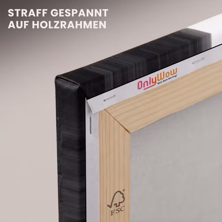 Kind - Vogel - Straat - Zwart-wit - Spelen canvas 2cm klein -uniquesellingpoint_afwerking-onlywow_DE