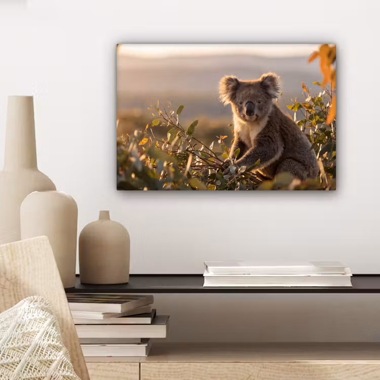 Koala - Bladeren - Ochtendlicht canvas 2cm klein -closeup_print_DE