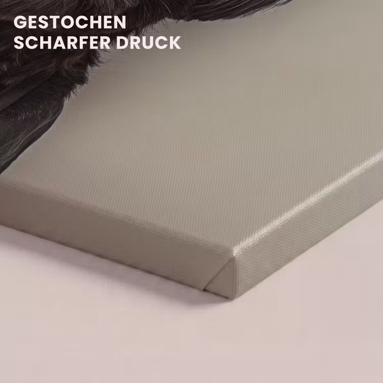 Kokskleding - Zwart - Hondje canvas 2cm klein -closeup_print_DE