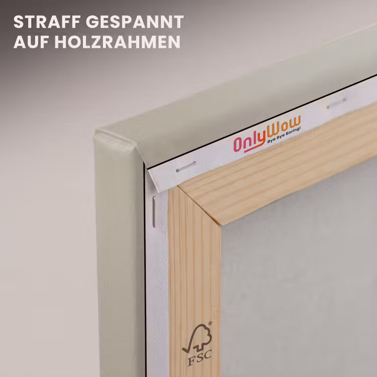 Kokskleding - Zwart - Hondje canvas 2cm klein -uniquesellingpoint_afwerking-onlywow_DE