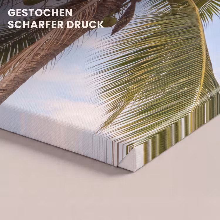 Kokosnoot - Boom - Tropisch - Natuur - Groen canvas 2cm klein -closeup_print_DE