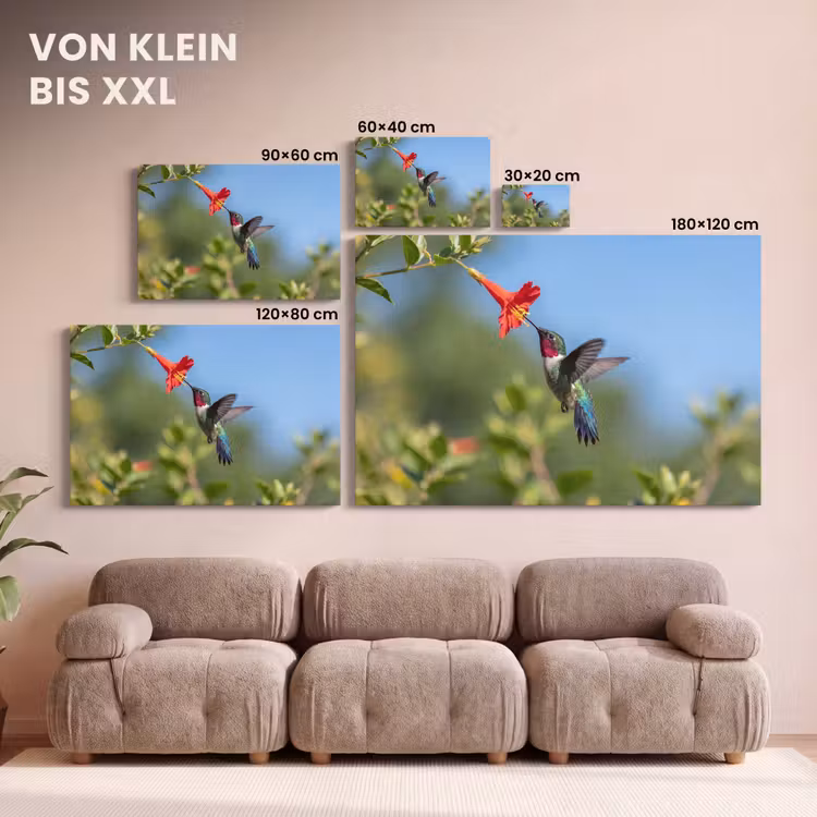 Kolibrie - Bloem - Natuur - Groen canvas 2cm klein -Xsfeer8_DE
