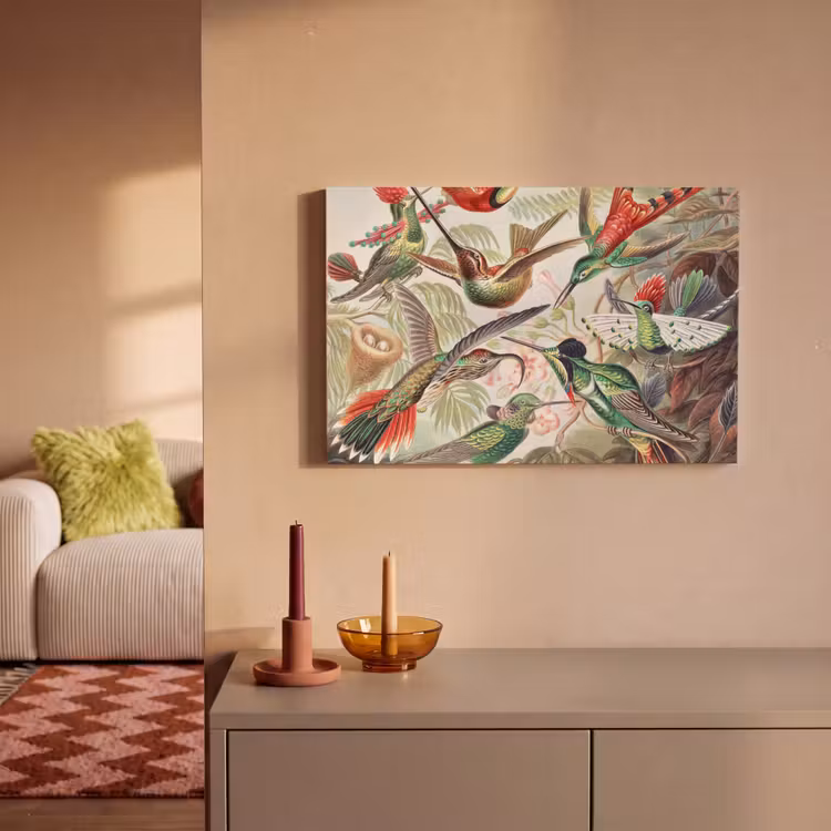 Kolibrie - Vintage - Ernst Haeckel - Vogel - Kunst - Natuur canvas 2cm klein -sfeer1