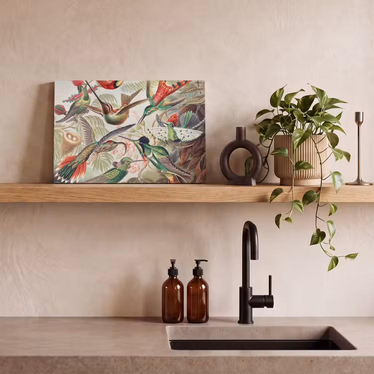 Kolibrie - Vintage - Ernst Haeckel - Vogel - Kunst - Natuur canvas 2cm klein -sfeer3