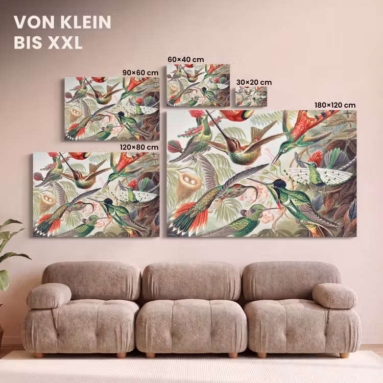 Kolibrie - Vintage - Ernst Haeckel - Vogel - Kunst - Natuur canvas 2cm klein -Xsfeer8_DE