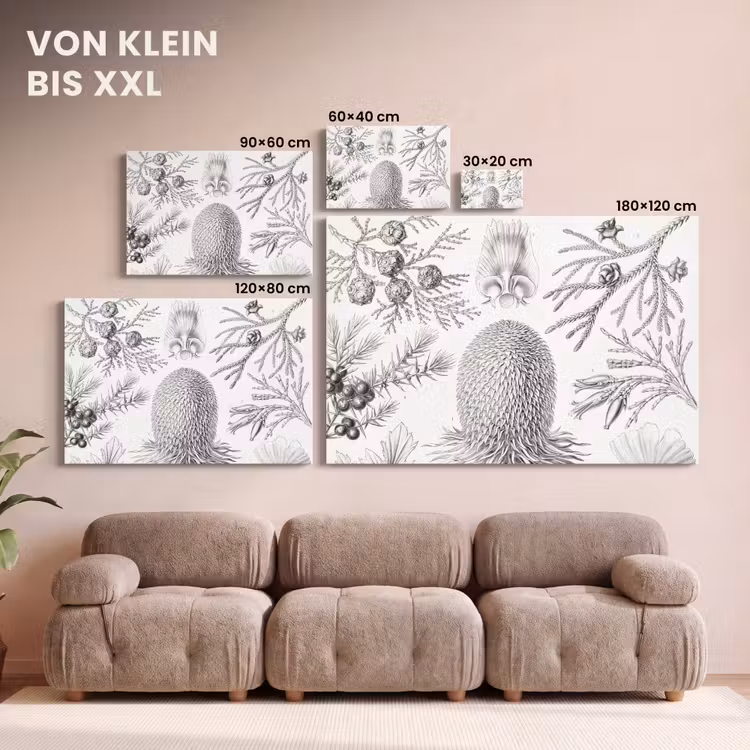 Coniferen - Ernst Haeckel - Kunst - Retro - Illustratie - Natuur canvas 2cm klein -Xsfeer8_DE