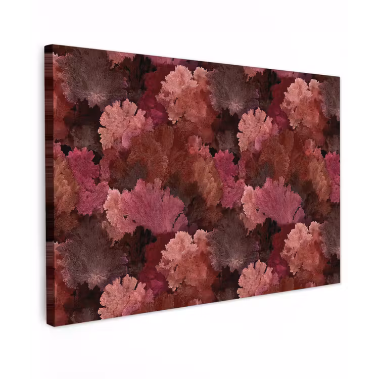 Koraal - Textuur - Kleurrijk canvas 2cm klein 34 -z3d