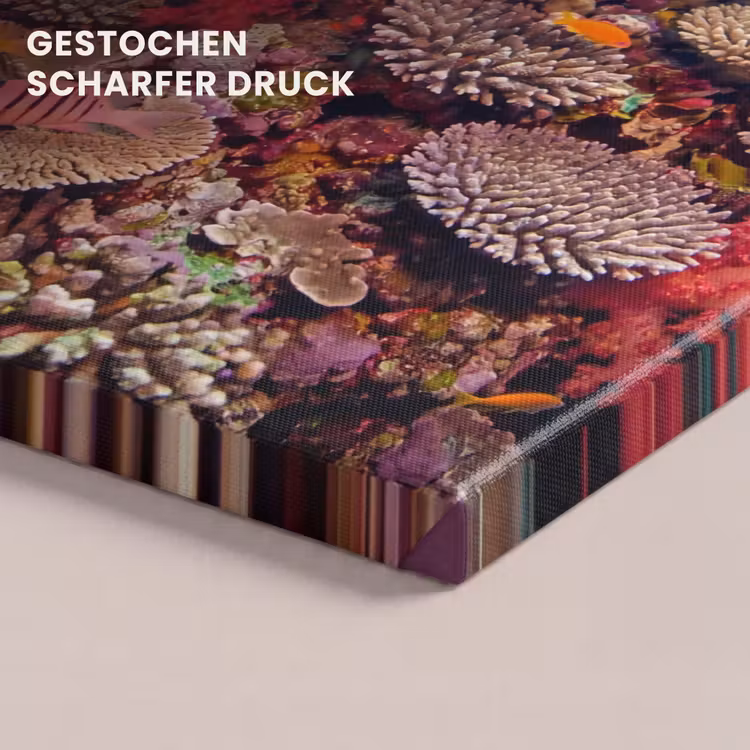 Koraalrif - Vissen - Onderwater - Tropisch - Rood canvas 2cm klein -closeup_print_DE