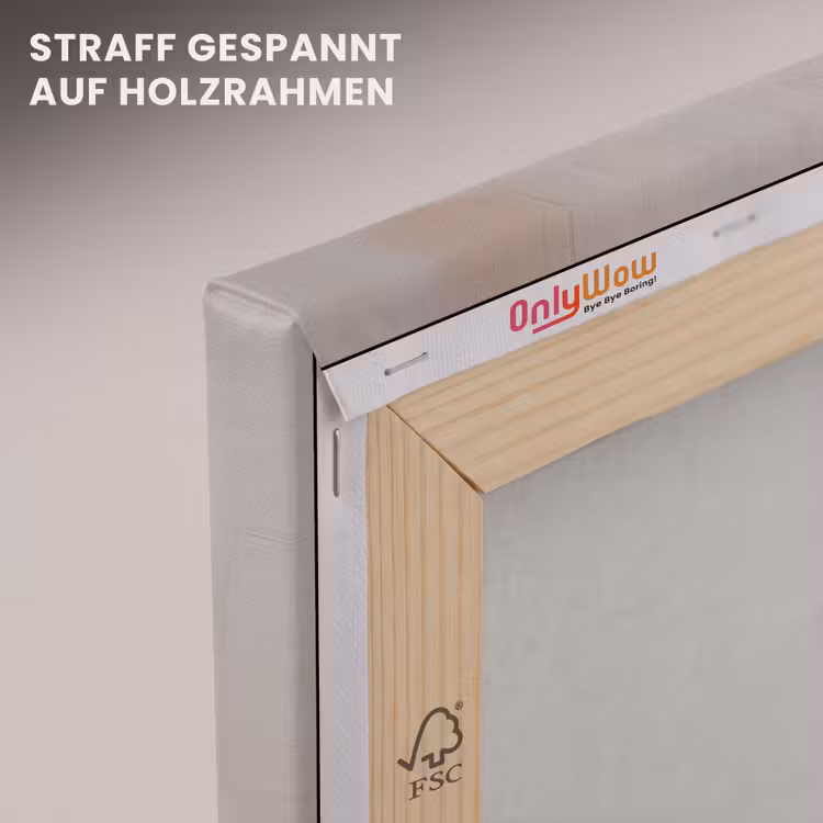 Mand - Eieren - Roze canvas 2cm klein -uniquesellingpoint_afwerking-onlywow_DE