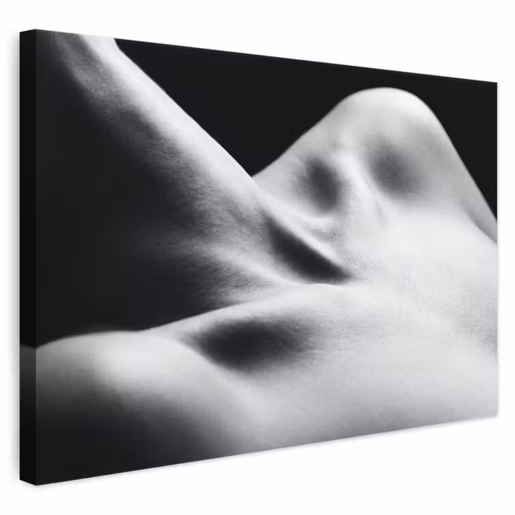 Lichaam - Vormen - Abstract - Zwart - Wit - Sensueel canvas 2cm klein -3d