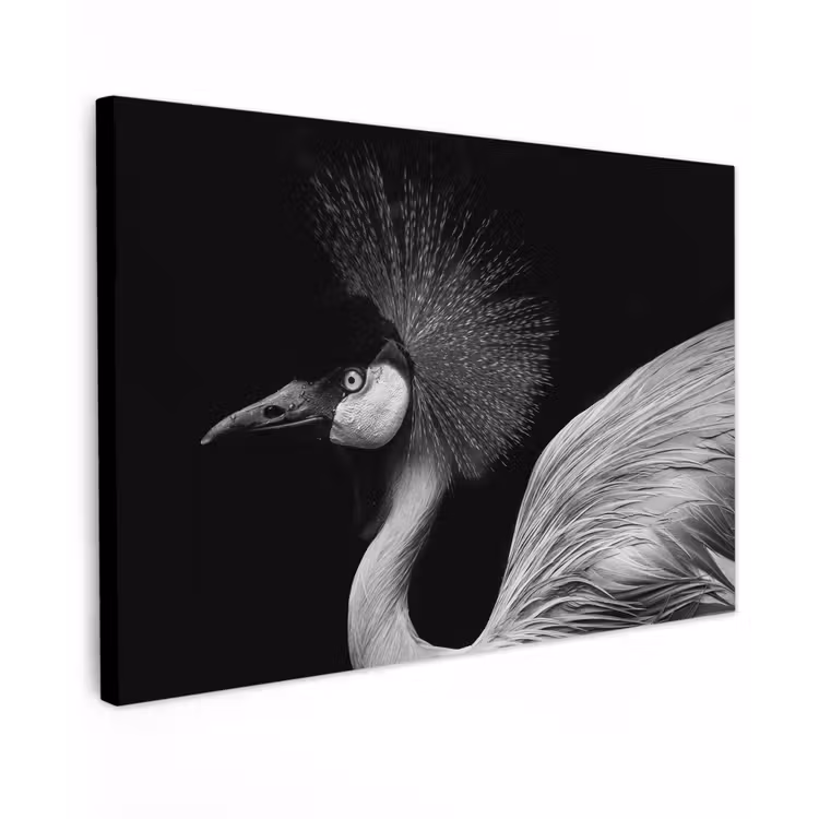 Kraanvogel - Zwart - Wit - Vogel - Dieren canvas 2cm klein -z3d