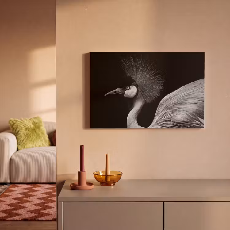 Kraanvogel - Zwart - Wit - Vogel - Dieren canvas 2cm klein -sfeer1