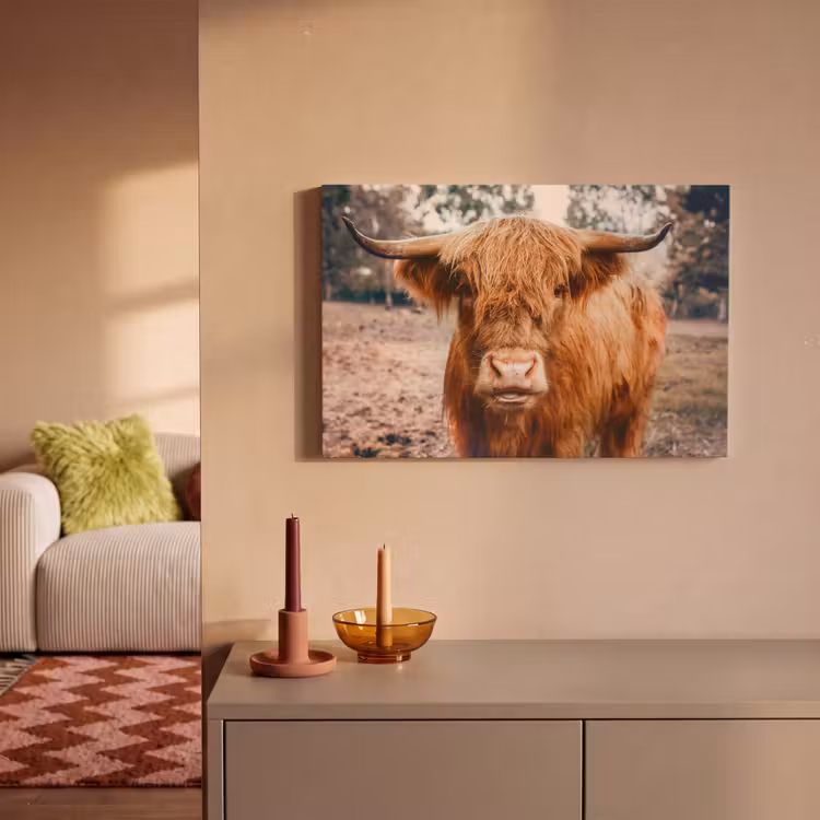 Koe- Schotse hooglander - Hoorns - Bruin - Landschap canvas 2cm klein -sfeer1
