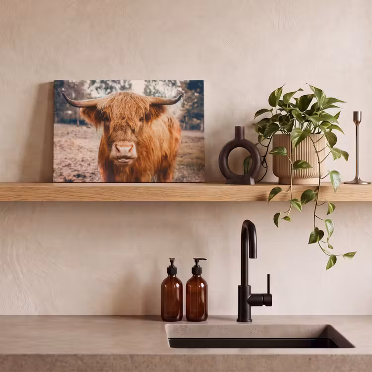 Koe- Schotse hooglander - Hoorns - Bruin - Landschap canvas 2cm klein -sfeer6