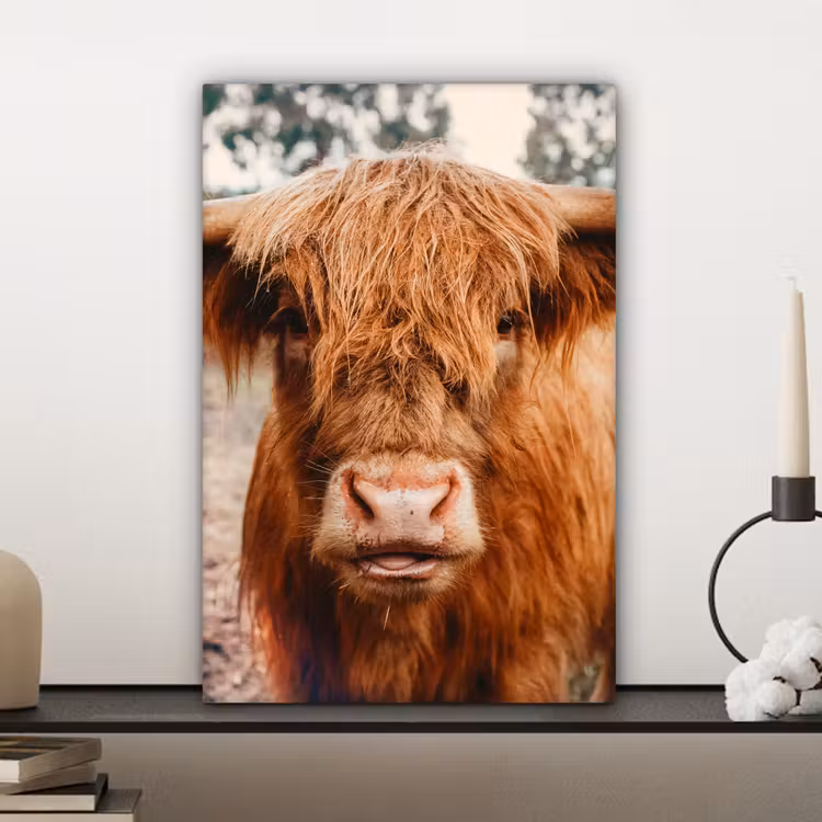 Koe- Schotse hooglander - Hoorns - Bruin - Landschap canvas 2cm klein -closeup_print_DE