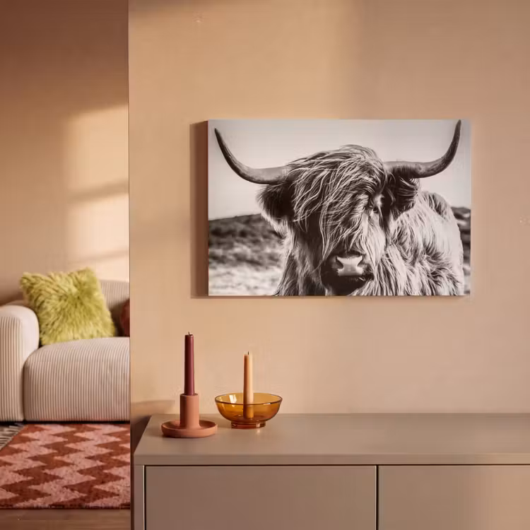 Koe - Schotse hooglander - Zwart - Wit - Dier - Natuur - Wild canvas 2cm klein -sfeer1