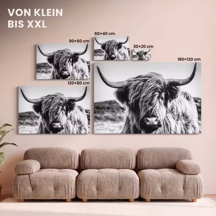 Koe - Schotse hooglander - Zwart - Wit - Dier - Natuur - Wild canvas 2cm klein -Xsfeer8_DE