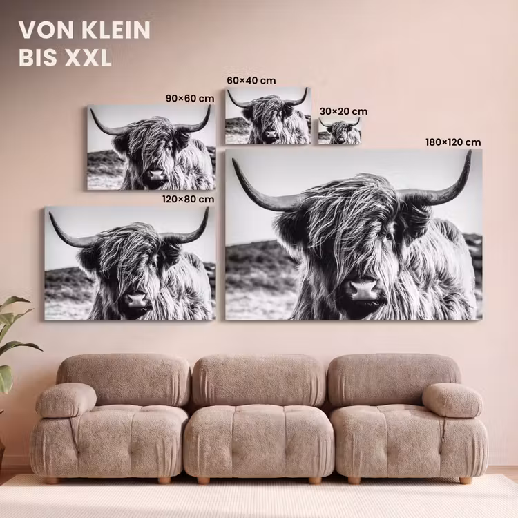 Koe - Schotse hooglander - Zwart - Wit - Dier - Natuur - Wild canvas 2cm klein -Xsfeer8_DE