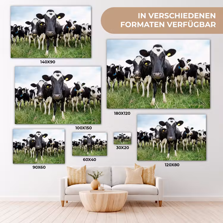 Koeien - Gras - Lente - Dieren - Weiland - Boerderij canvas 2cm klein -Xsfeer8_DE
